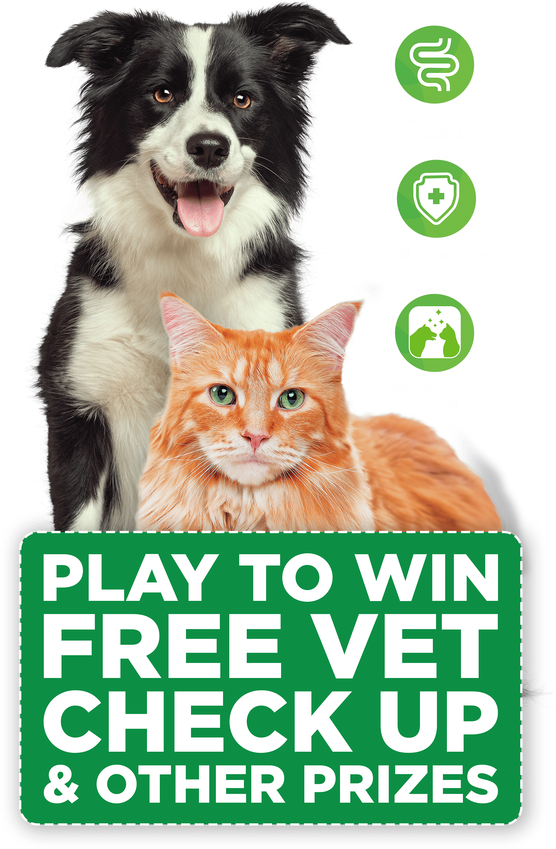 IAMS FOR LIFE